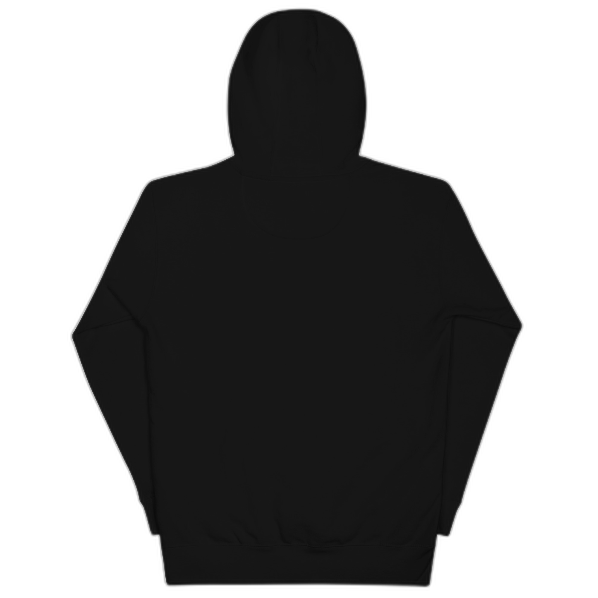 2026 Playoffs Unisex Hoodie - Image 2